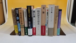 近現代文学の専門書や全集