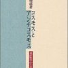 コスモスとアンチコスモス―東洋哲学のために